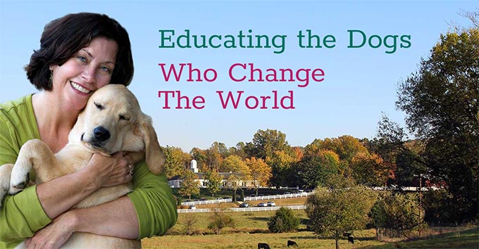 slide-capture-for-mobile Educating the Dogs Who Change the World