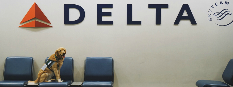 Delta Sign and Henry Delta SkyMiles